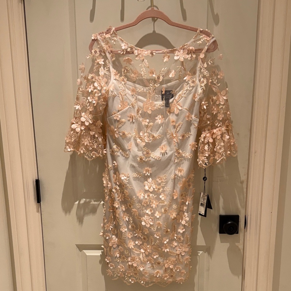 Adrianna Papell Ivory Blush Embroidered Dress